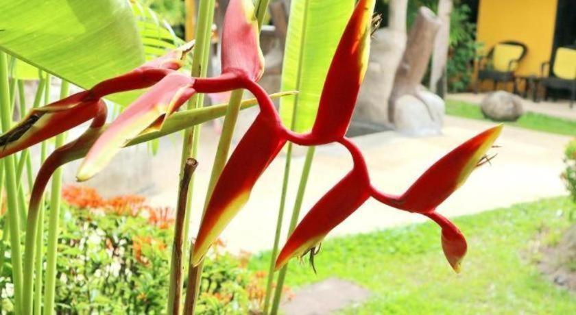 Kamala Tropical Garden Hotel Экстерьер фото